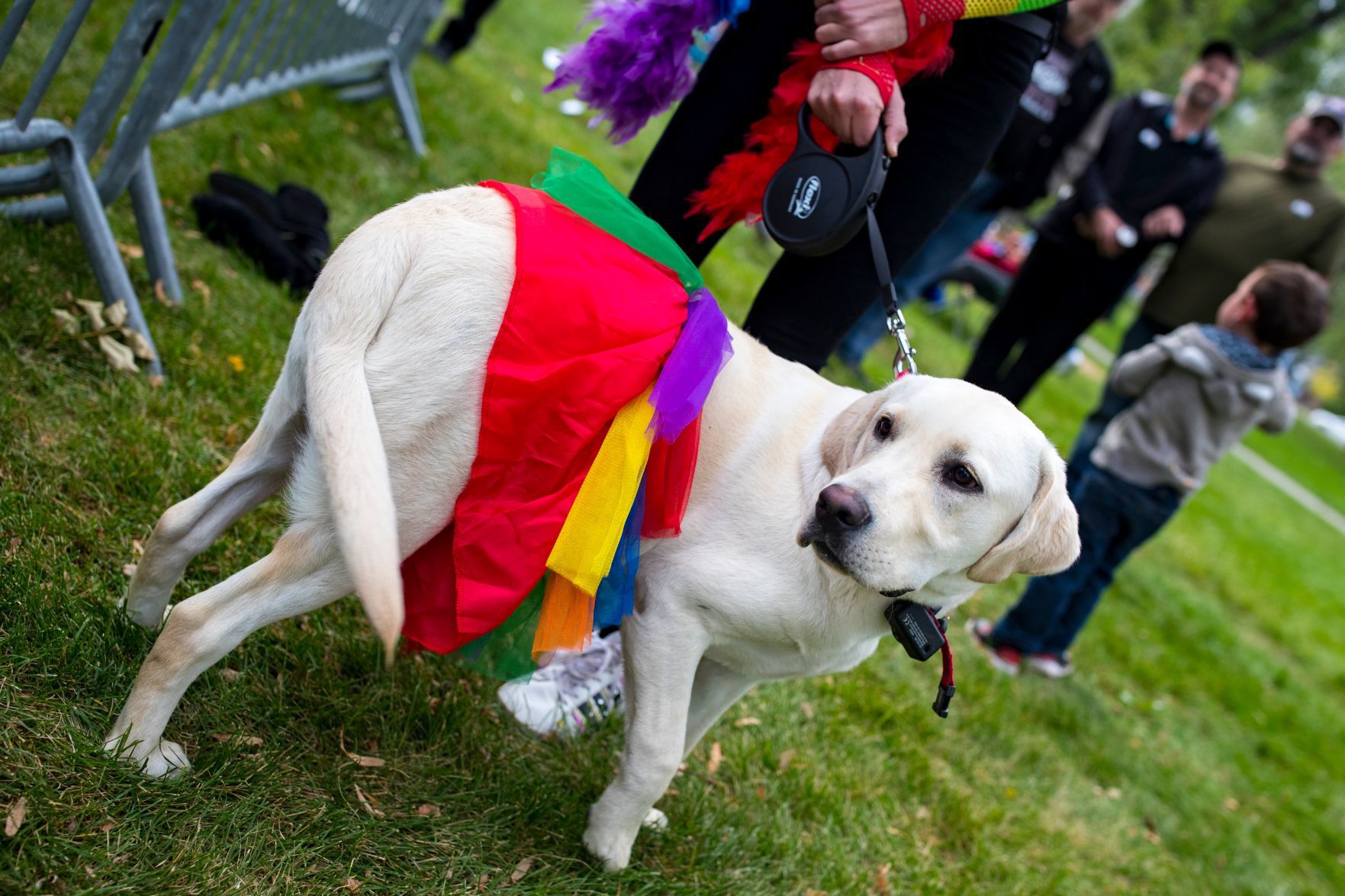 406 Pride festival